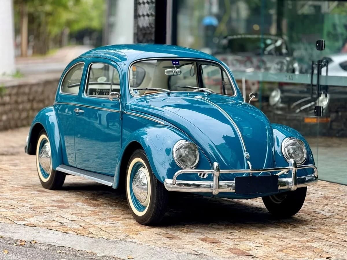Família 1200