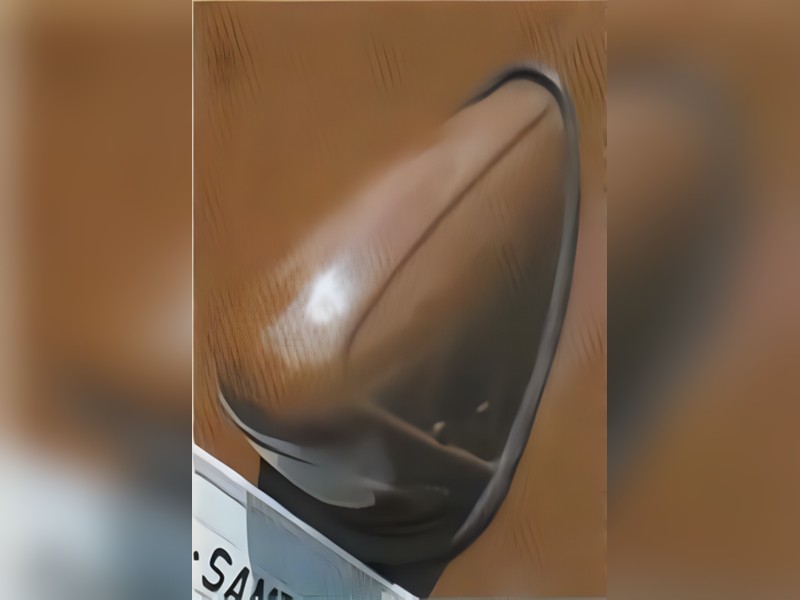 Foto da característica: Nariz de Placa Grande Split