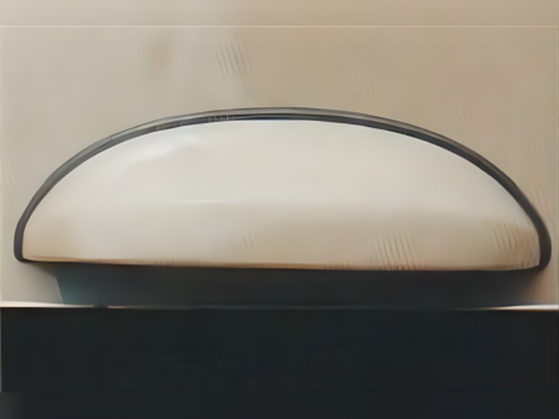 Foto da característica: Nariz de Placa Largo