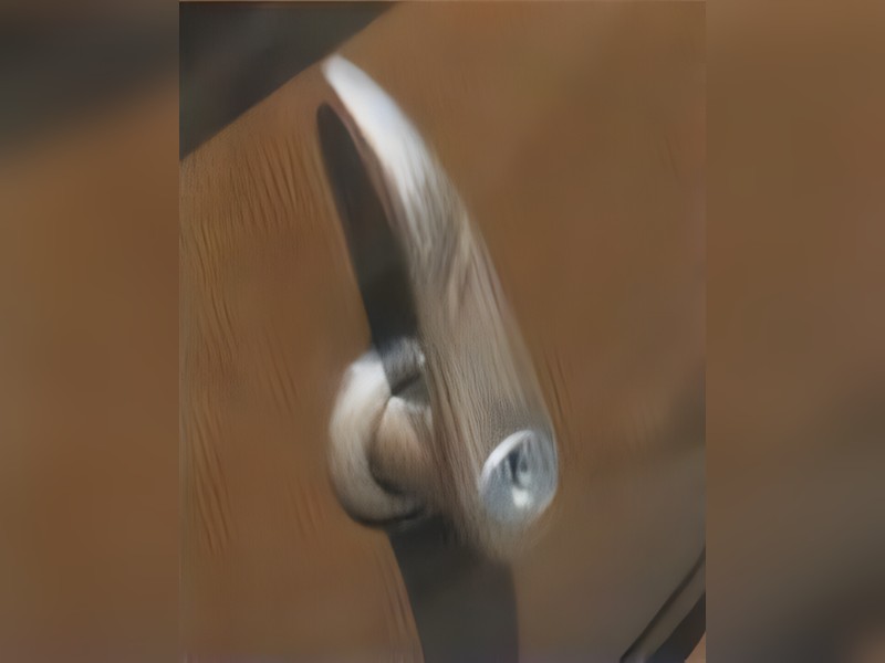 Foto da característica: Trava Capô Traseiro Rabo de Tatu