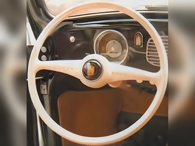 Foto: Volantes - Volante Asa de Morcego Claro